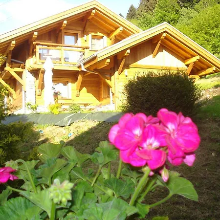 Chalet Les Des Chatelminés La Bresse