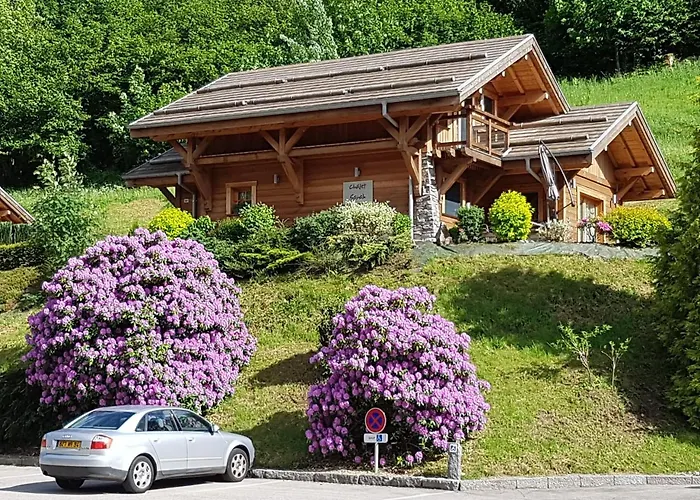 Les Des Chatelmines Horská chata La Bresse